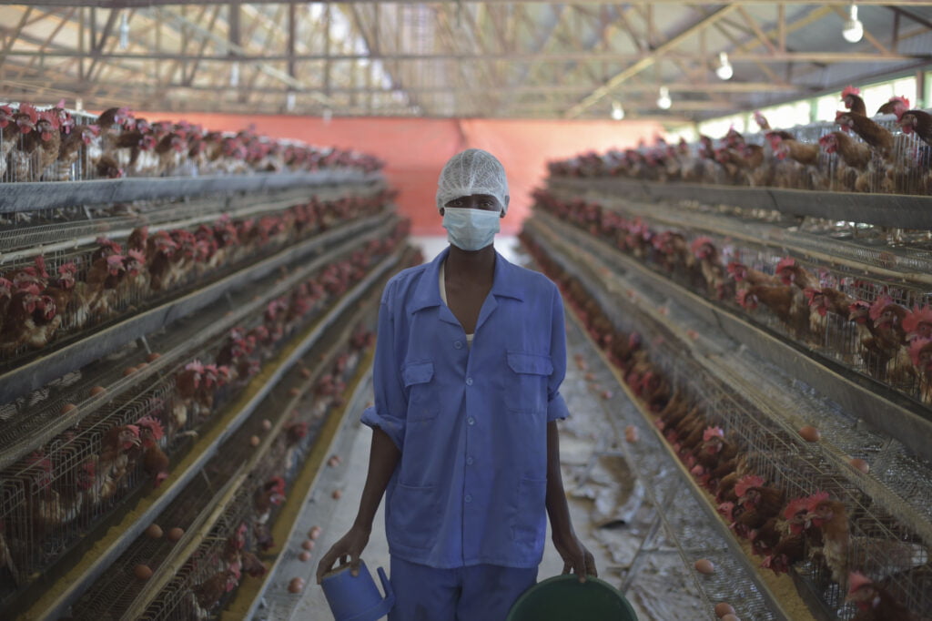 Man in chicken farm holding drinkers